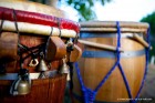 BOMBA-201200