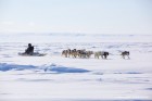 CANADA-321200